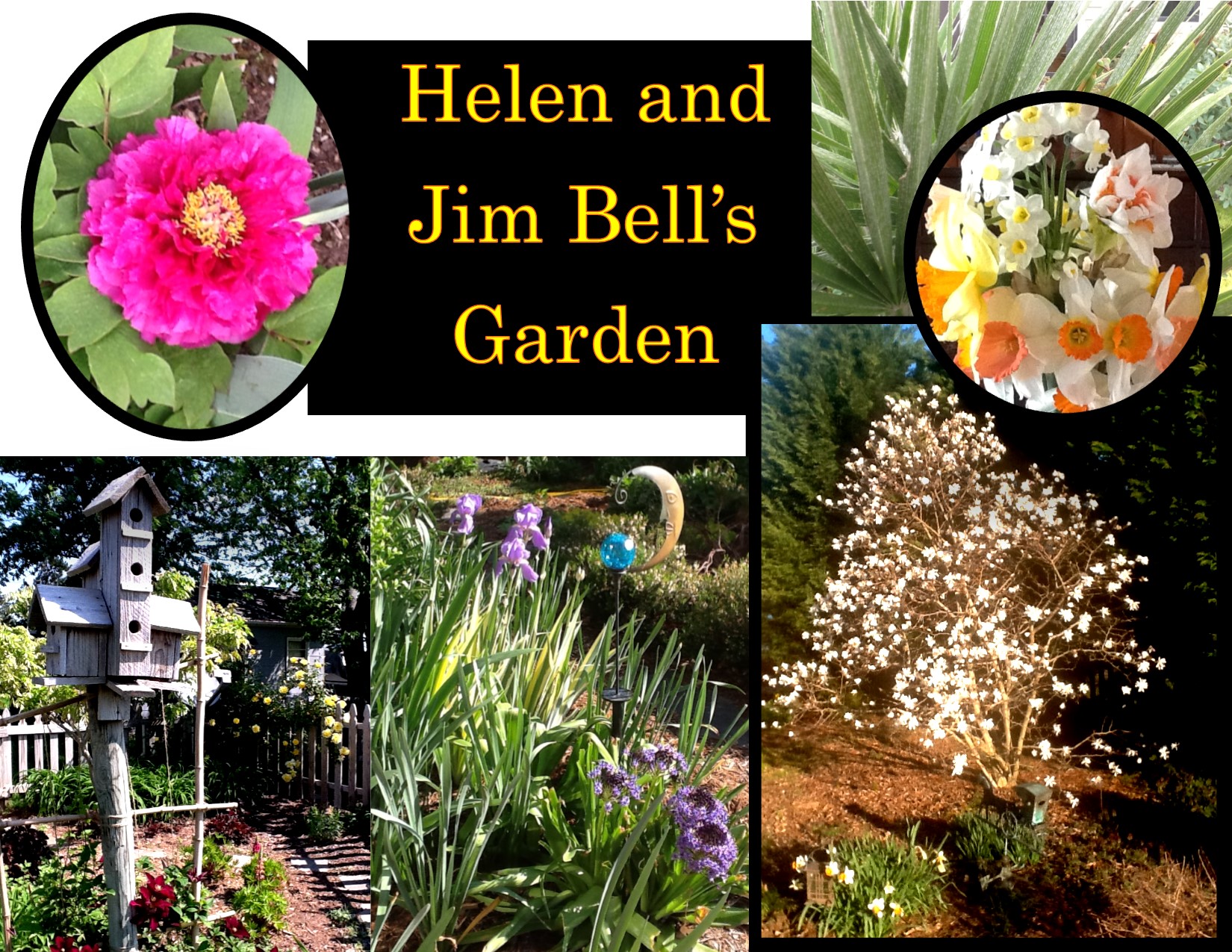 Garden Photos- Helen and Jim Bell