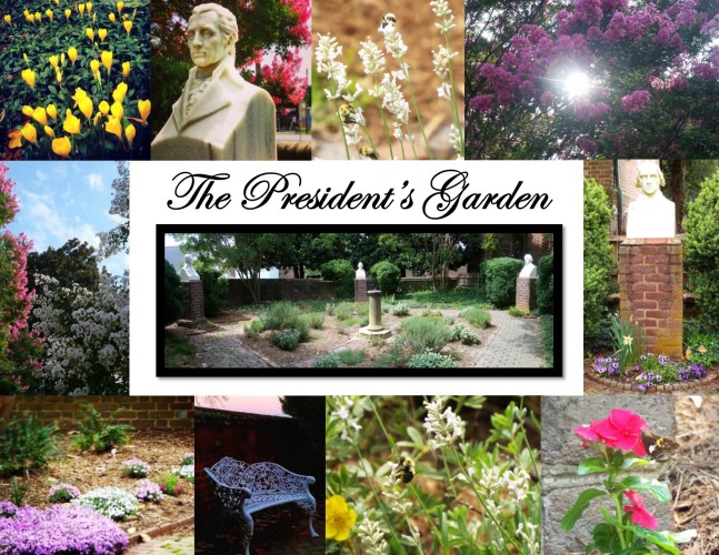 Garden Photos- President's Garden