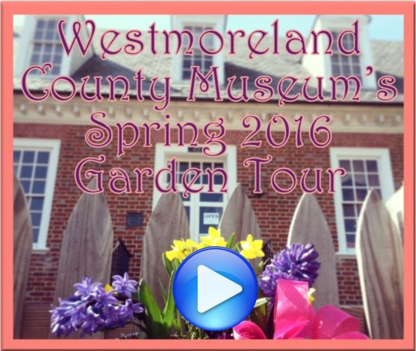 Garden Tour Brochure- front page, play button